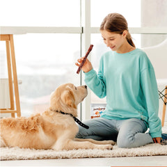 Jack&Pup collagen sticks show potential joint and coat support.