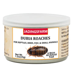 JADINGSFARM Dubia roaches sealed can preserving freshness for pets.