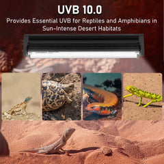 Jaenmsa T5 UVB fixture in a desert reptiles setup with sun-like light