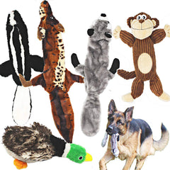 Jalousie 5 Pack raccoon no-stuffing squeaky toy for interactive play