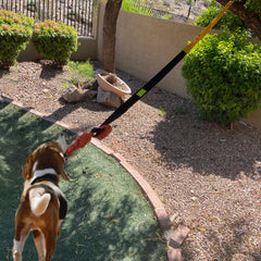 Jalousie Dog Bungee Toy tree attachment demonstrates secure outdoor setup.