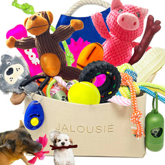 Jalousie dog squeaky toys multipack front view for small and medium breeds fun interactive play