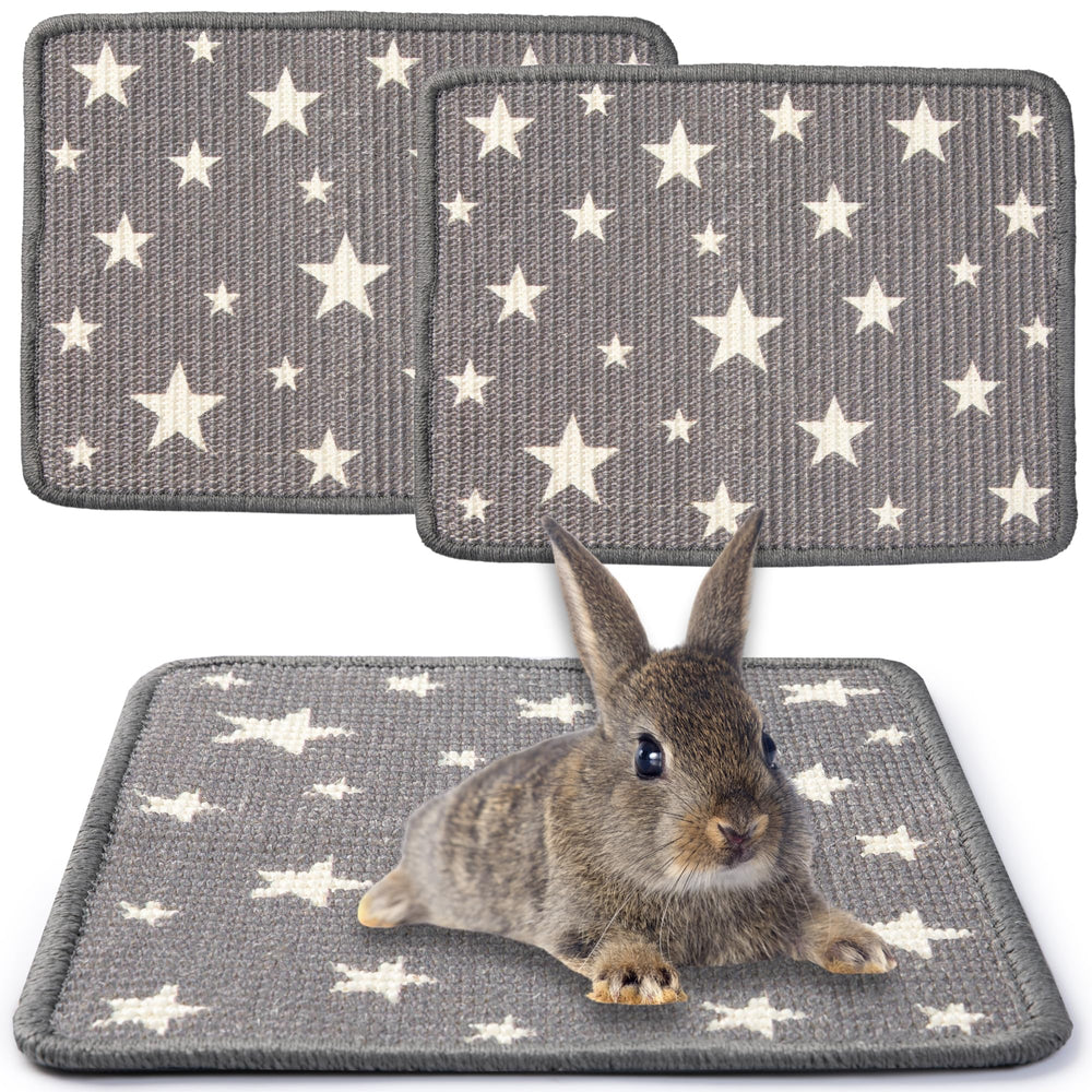 JanYoo rabbit scratcher mat dual-pack promotes natural claw care for small pets