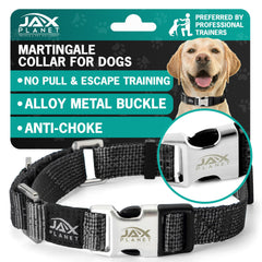 JAX PLANET black martingale collar closeup showing secure fit for calm walks.