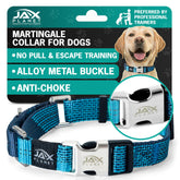 JAX PLANET Blue Martingale collar close-up buckle for secure everyday walks