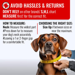 JAX PLANET Blue Martingale Collar reflective D-ring for night visibility during walks.