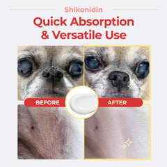JAYU PET Shikonidin cream close-up showing smooth, non-sticky texture for dry pads
