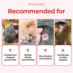 Shikonidin hotspots relief on a dog as a soothing skincare option