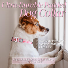 JC HOUSE cherry-pattern collar worn on a dog showcasing adjustable fit.