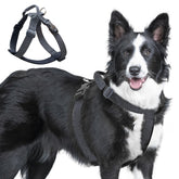 JC HOUSE Galaxy Reflective Harness front view for 360° night visibility during walks.