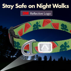 JC HOUSE Watermelon collar aluminum D-ring keeps weight down while staying secure.