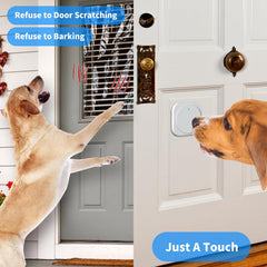 JeaTone dog using the door bell during a training cue.