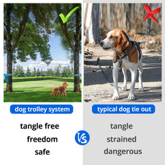 Jenico dog tie out overhead trolley setup shown between trees