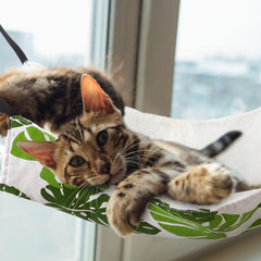 Jetec cute-pattern cat hammock adds cheerful décor and a comfy retreat for small animals.