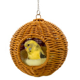 Jevnd chewproof steel-frame bird nest demonstrates durable construction for tough chewers.