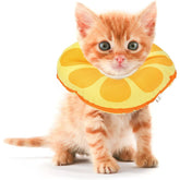 Jevnd kitten cone soft collar closeup for comfortable recovery.