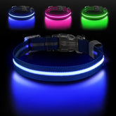 Collar Jewyow con luz 360 grados para perros, mayor visibilidad nocturna.