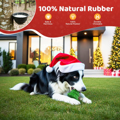 Jewyow dog chew toy squeaker inside boosts interactive play.