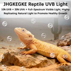 JHGKEGKE fixture over terrarium provides reliable lighting for daily reptile routines