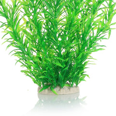 Jihaqua tall greenery creates natural tank corners and depth