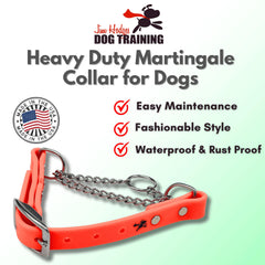 Biothane martingale collar from JIM HODGES DOG TRAINING stands up to weather and daily wear