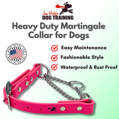 Jim Hodges Dog Training Biothane martingale collar with stainless steel hardware for durable daily wear.