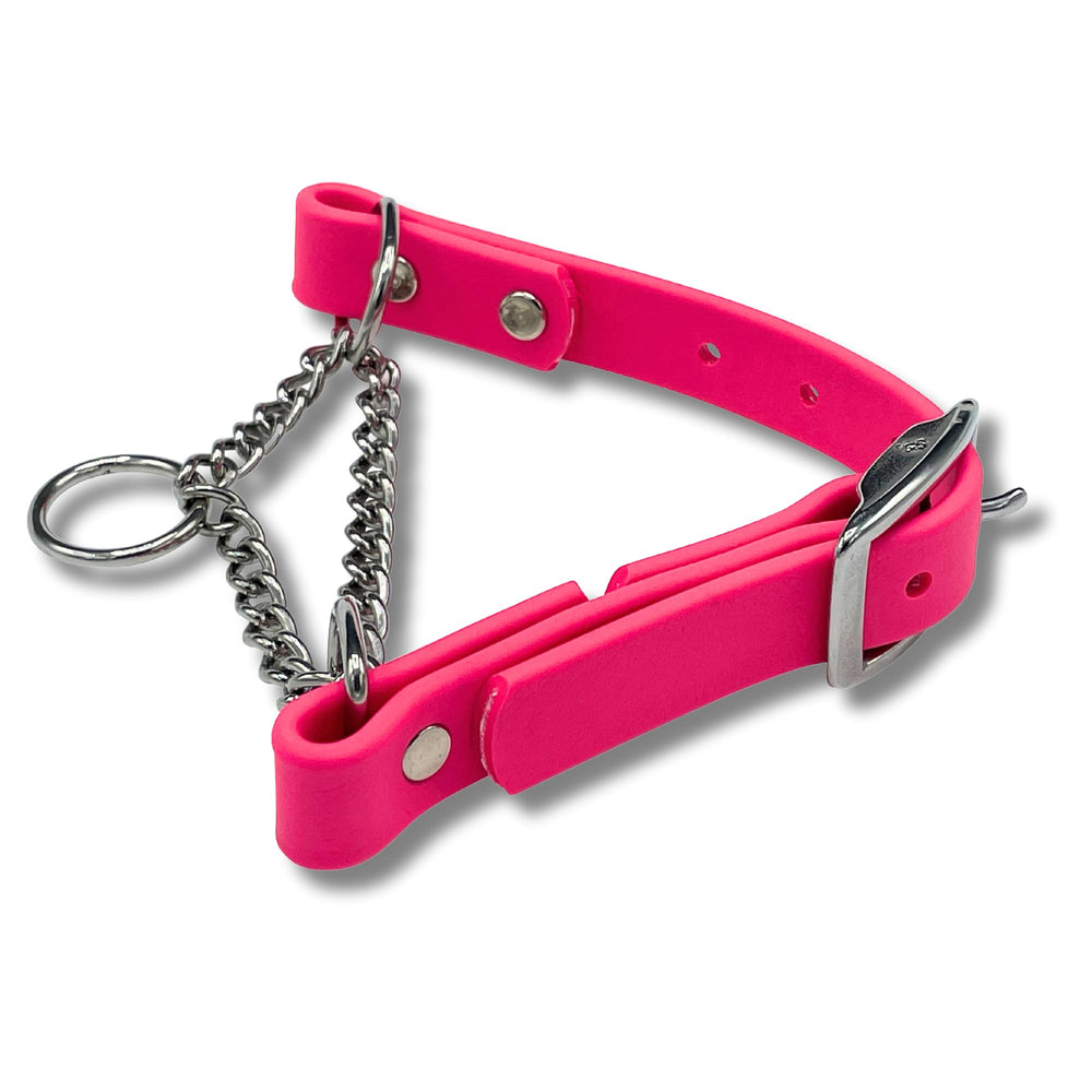 Jim Hodges Dog Training large pink martingale collar showing Biothane durability for daily training.