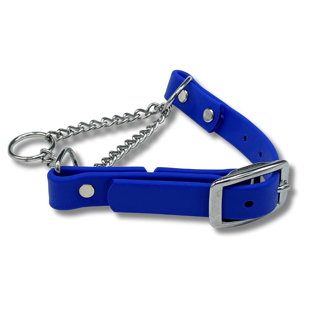 Jim Hodges Dog Training martingale collar XL blue shown during training for controlled no-pull communication.