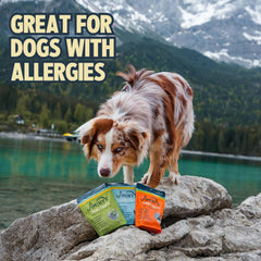Jiminy's cricket protein label highlights hypoallergenic, low-calorie rewards for sensitive stomachs.