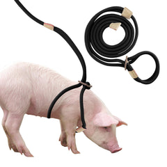Jinkoozz mini pig harness easy-on-off design for quick, stress-free walks.
