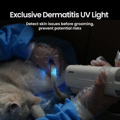 JirPet dog-dryer-3-speeds-4-temperatures provides versatile grooming options.