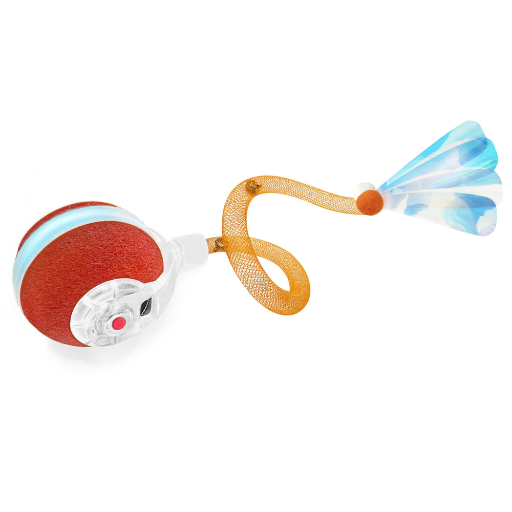 Jkanti Pelota interactiva para gatos de interior, juego dinámico en casa.