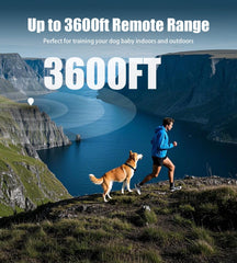 JLZNLC dual-channel setup enables training two dogs with one remote