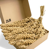 Jmxu's Spray Millet Treat packaging shows a two-pound bag for easy snacking