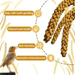 Jmxu's Spray Millet Treat pesticide-free image communicates clean, worry-free nibbling.