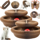 Jogcoys 2PC Kitty Curls Cat Toy ball-track in action promoting playful tracking