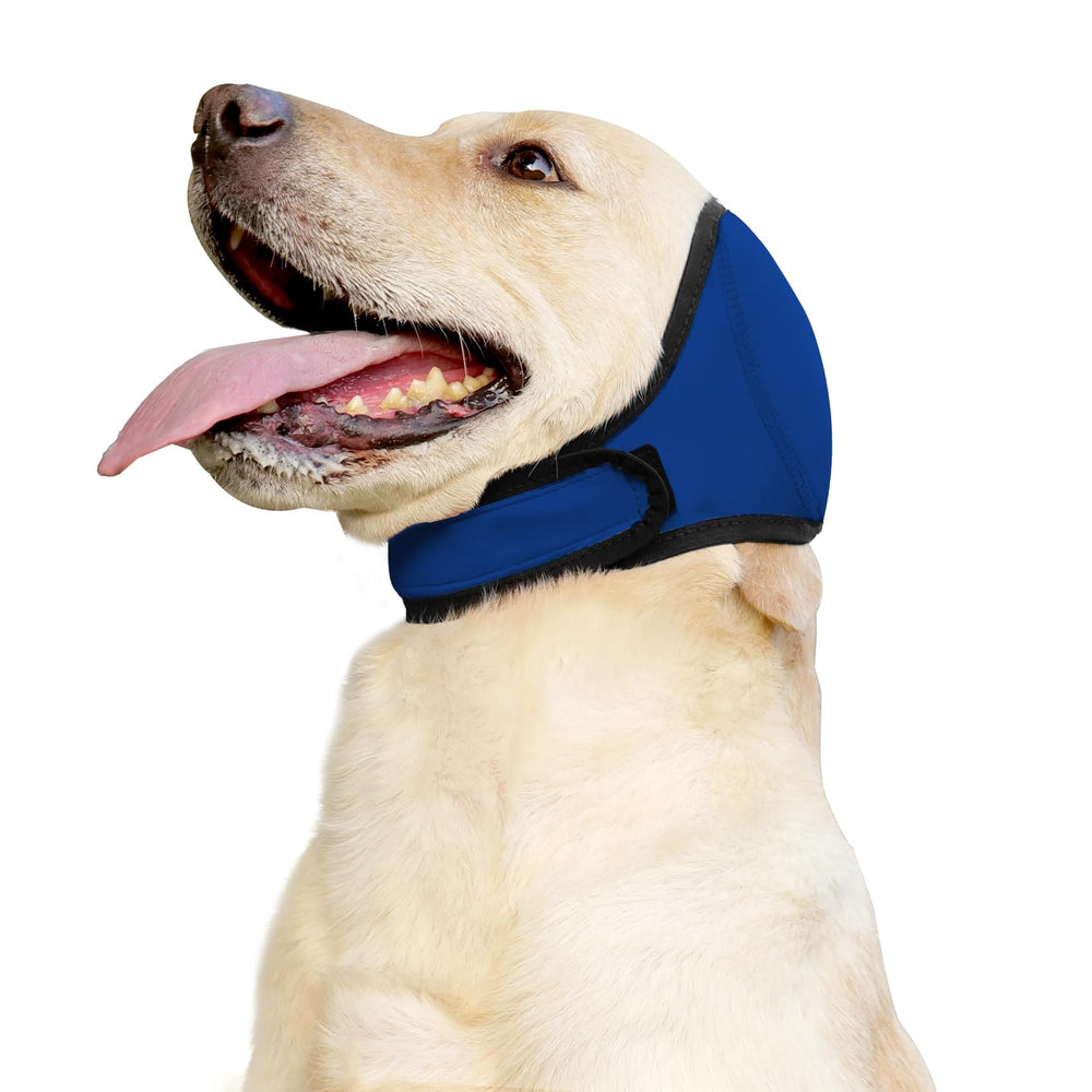 JOHNBOLIN dog ear muffs blue hoodie closeup highlighting calming comfort for anxious dogs