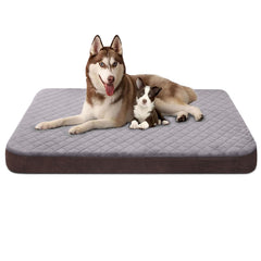 JoicyCo extra large dog bed front view shows spacious 47 inch surface