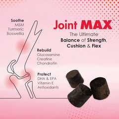 Joint MAX TS bottle with dog in lap suggests easy administration and comfort.