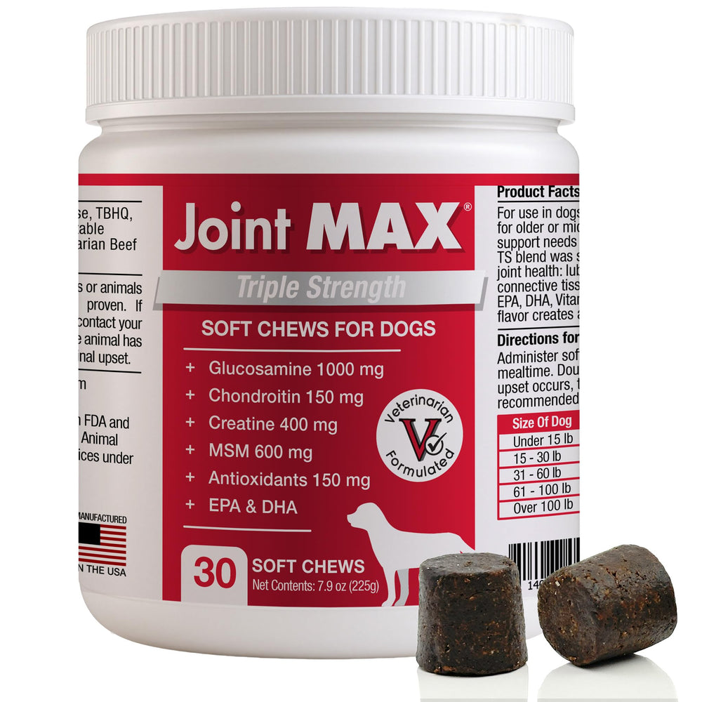 Joint MAX TS soft chews served in a dog bowl for convenient daily care.