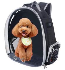 JOJOPEPE active cooling pet backpack with side fan keeps pets cool on travels.