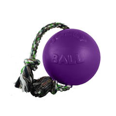 Jolly Pets Romp-N-Roll floats for water retrieval and splashy fun.