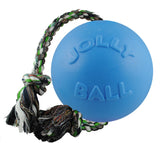 Jolly Pets Romp-n-Roll large 8-inch ball ready for rugged play and tug-of-war