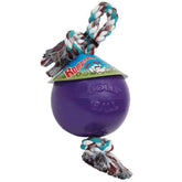 Jolly Pets Romp-n-Roll rope and ball toy 8in purple for large breeds, ideal for fetch.