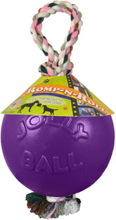 Jolly Pets Romp-n-Roll purple toy, 4.5-inch size, ready for outdoor play.