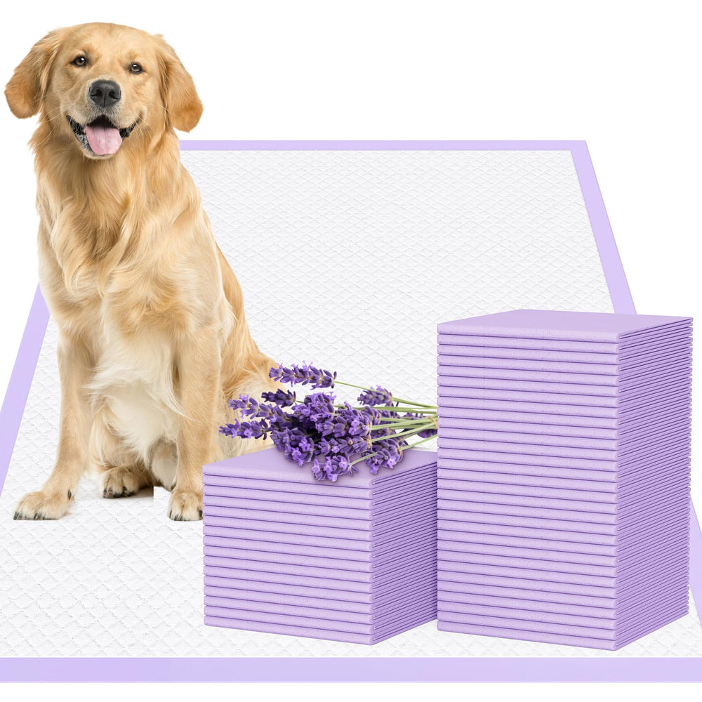 JollyMate 28x34 extra-large dog pad ideal for indoor potty training.