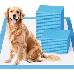 JollyMate XL dog pee pad 30x36 flat lay showing large surface and quick absorption.