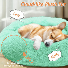 JOLLYVOGUE calming donut bed mint green top view emphasizes burrowing comfort and safe enclosure.