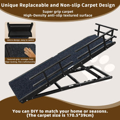 Landing platform at the top supports confident first steps for dogs