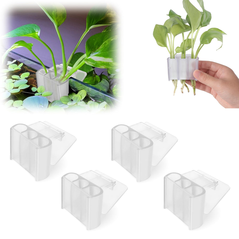 joqepy 4-pack upgraded aquarium plant holder pack keeps plants neatly in view